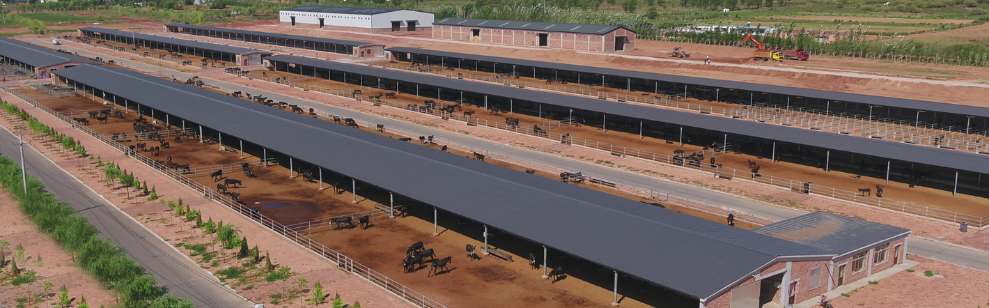 304am永利集团官网(中国)有限公司-Official Website